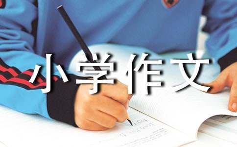 儿童篮球基本功训练内容怎么写的_1